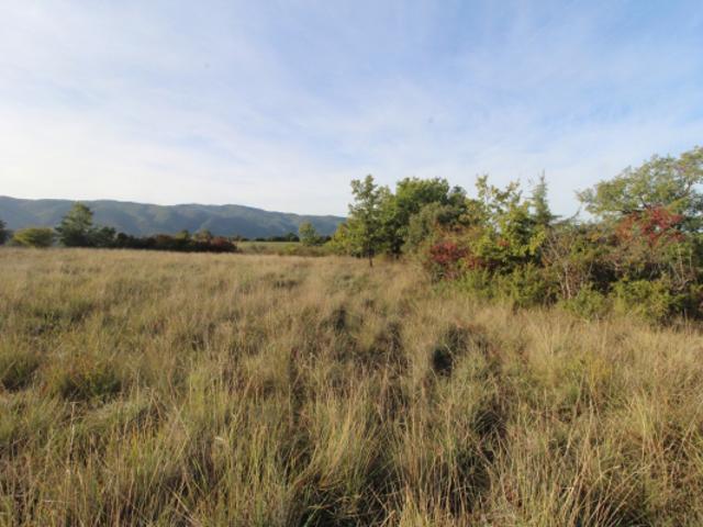Exclusivité. Luberon. cabanon au coeur de la nature avec vue