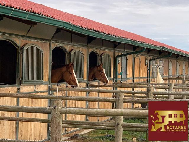 EXCLUSIVITE Propriété Equestre sur 10 Hectares avec Manège