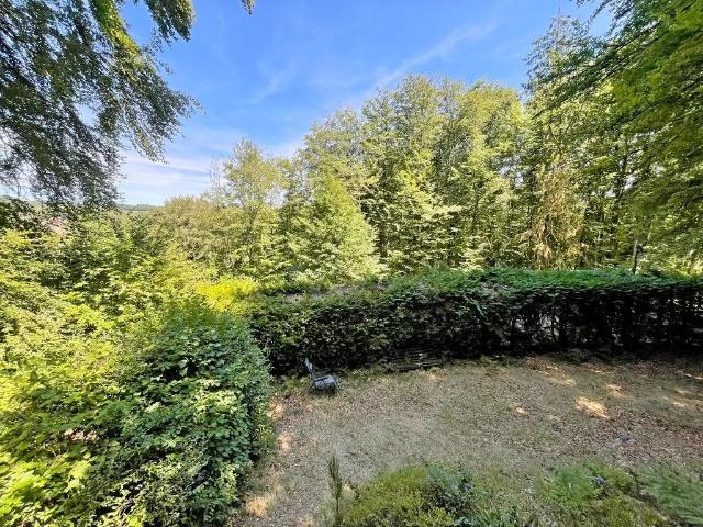 Exclusivité/Bourgogne, Parc du Morvan, Secteur GOULOUX, chalet 49 m² environ sur plus de 3000 m² de terrain boisé