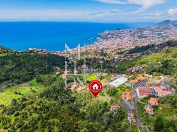 Exclusividade e Elegância no Palheiro Ferreiro Madeira