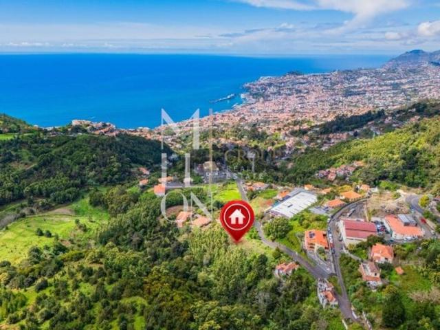 Exclusividade e Elegância no Palheiro Ferreiro Madeira