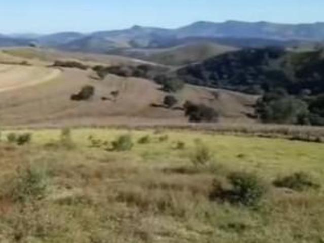Exclusividade e Produtividade: Fazenda 680 Hectares a 500m do Asfalto no de Sul de