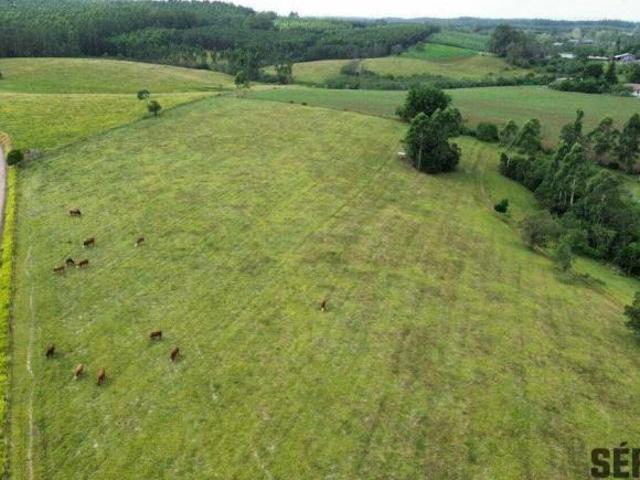 EXCLUSIVIDADE: 7 HECTARES NO BARRET0 TRIUNFO RS FRENTE DO ASFALTO