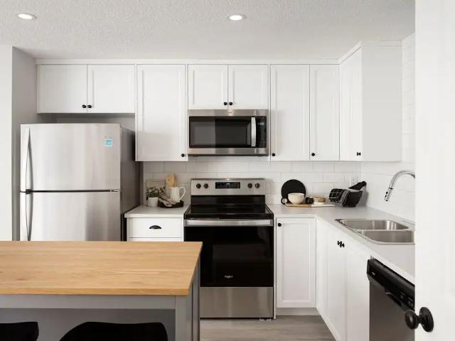 Executive 1 Bedroom Basement Suite in Livingston