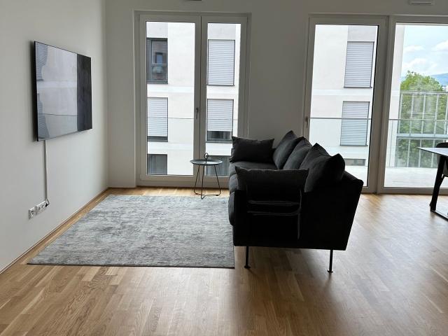 Executive Apartment + terrace + fiber, Wiesbaden Amsterdam Apartments for Rent