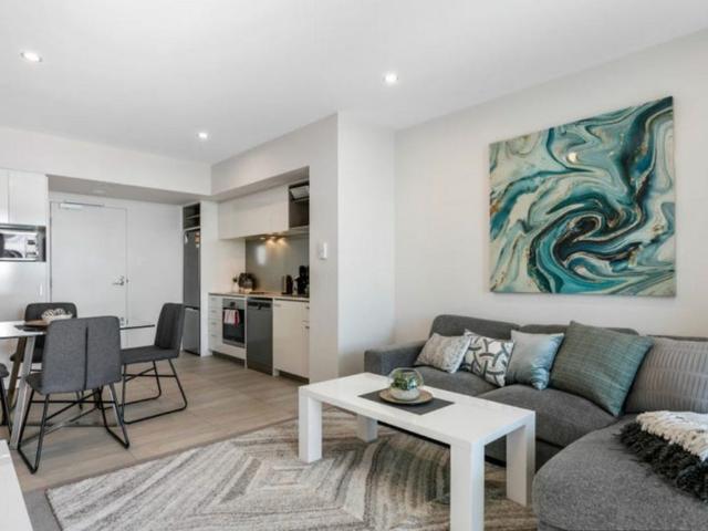 EXECUTIVE FULLY FURNISHED AND EQUIPPED APARTMENT