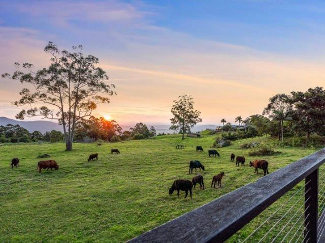 Executive Home 20 Acres Spectacular Views