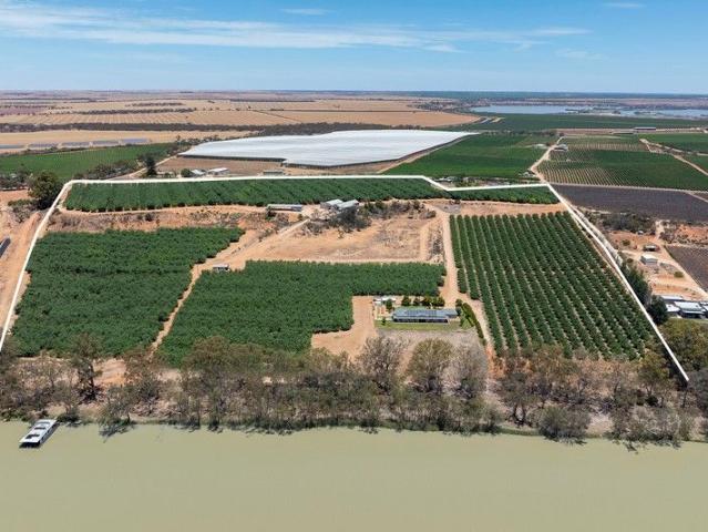 Income producing orchard with lifestyle waterfront living