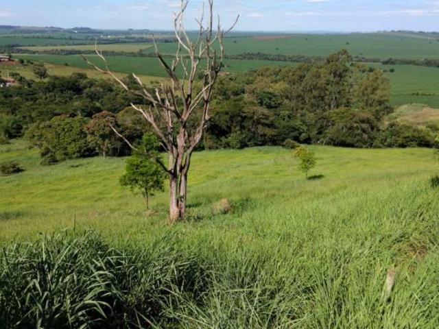 EXELENTE OPORTUNIDADE, SÍTIO NA SERRINHA, ENTRE DOUTOR CAMARGO E ÁGUA BOA.São 6 alqueires, sendo 5 a