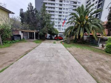 EXEQUIE FERNANDEZ / LOS OLMOS
