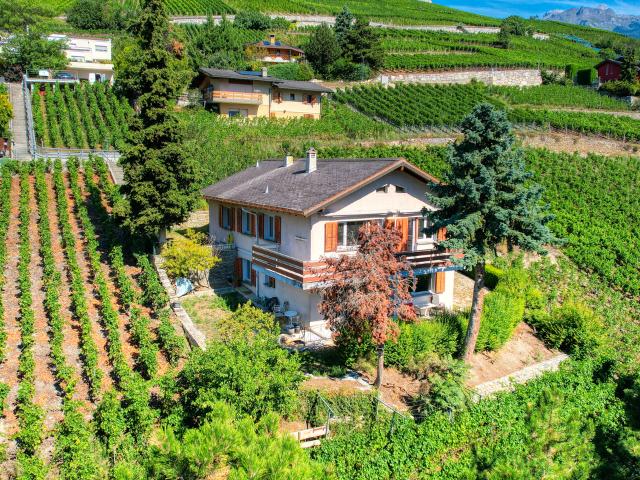 EXKLUSIV Charmantes Haus mit 2 Einheiten im der Weinberge von Siders