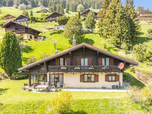 Exklusiv Großes Dreizimmer Chalet mit 2 Garagen