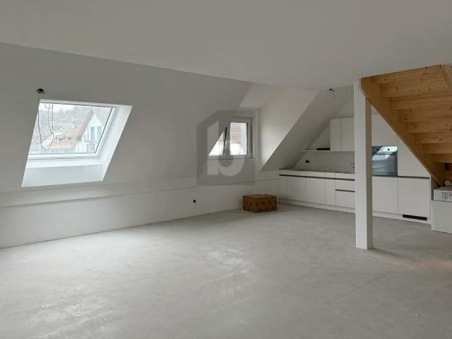 EXKLUSIV MIT GROSSER DACHTERRASSE
