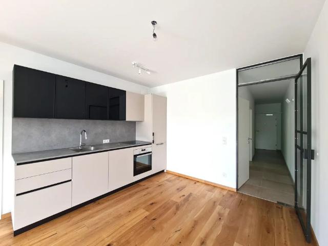Exklusive 3 Zimmer Wohnung in Pitten!