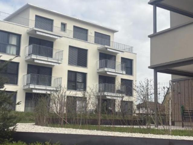 Exklusive 1½ Zimmer Wohnung – modern & lichtdurchflutet