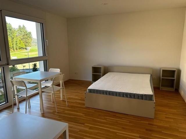 Exklusive 1½ Zimmer Wohnung – modern & lichtdurchflutet