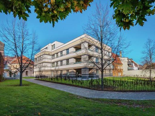 Exklusive 2 Raum Wohnung in der Oschatzer Innenstadt – Modernes Wohnen mit höchstem Komfort 2