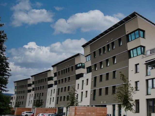 Exklusive 4,5 Zimmer Designerwohnung in der Solarsiedlung Schallstadt – Nachhaltig, modern