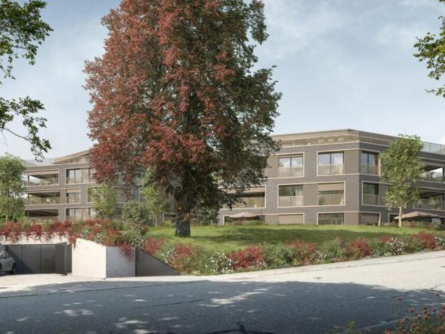 Exklusive 5.5 Zimmer Gartenwohnung mit über 260 m2 Aussenfläche