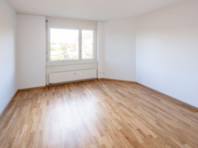 Exklusive Attikawohnung mit drei Terrassen nähe Spalentor