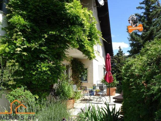 Villenlage in Perchtoldsdorf/Wien Nähe: Ein echter Familienschatz + erholsame Ruhelage + 3 Freiflächen + 4 Stellplätze