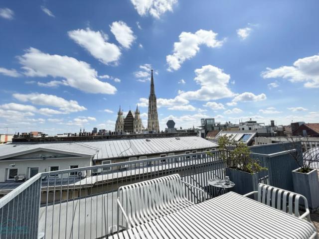 EXKLUSIVE DACHTERRASSEN WOHNUNG