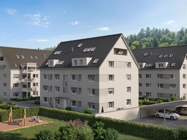 Exklusive Dachwohnung mit Lift direkt in die Wohnung