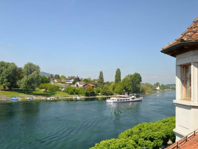 Exklusive Dachwohnung mit traumhaftem Rheinblick