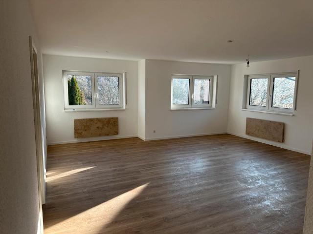 Exklusive Frisch renovierte 3 Zimmer Wohnung in Berwangen