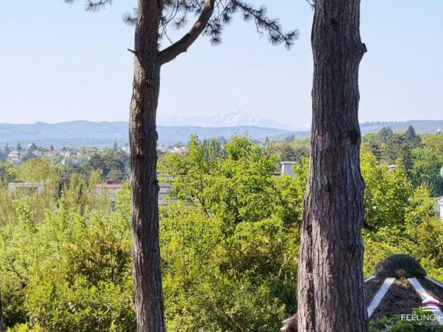 Exklusive Lage mit Weitblick: Historische Villa in Grinzing mit Panorama bis zum Schneeberg und magischen Abendstimmungen