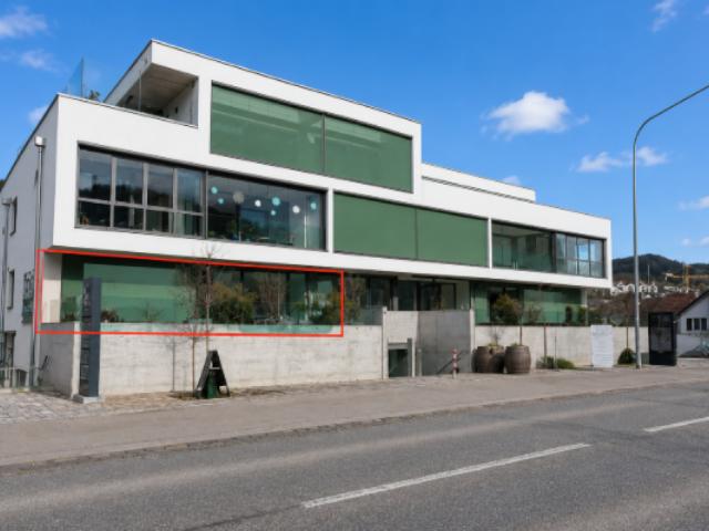 Exklusive moderne 4.5 Zimmer Wohnung mit grosser Terrasse & Waschturm