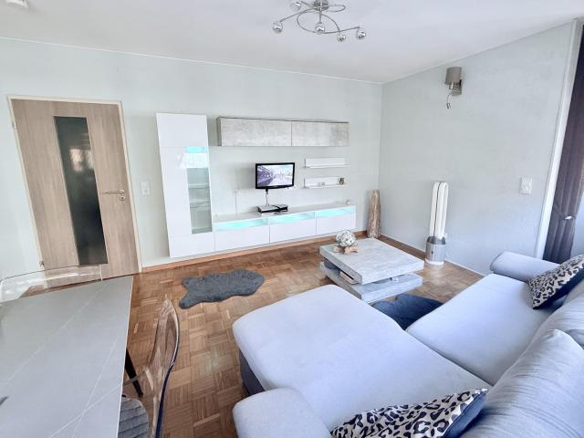 Exklusive modernisierte Wohnung in Nürnberg St. Johannis – stilvolles Wohnen in Altstadtnähe
