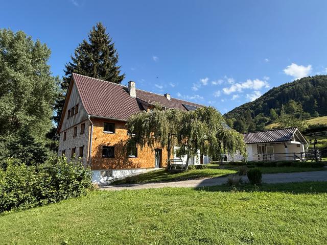 Exklusive Neubau 3 Zimmer Dachgeschoß Wohnung mit Bergsicht bei Isny