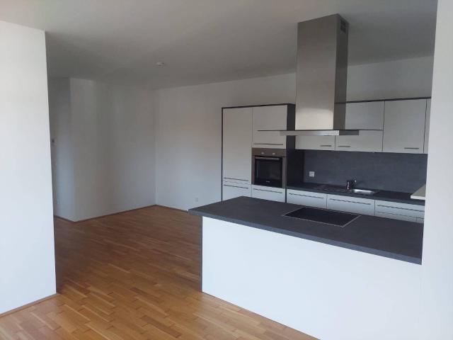 Exklusive, neuwertige 63 m² Wohnung mit großer Terrasse und Blick auf den Inn