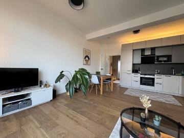Exklusive Penthousewohnung, hochwertig saniert, Einbauküche