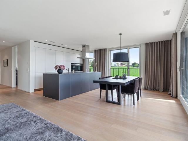 Exklusive Wohnung mit See und Bergsicht in Meilen
