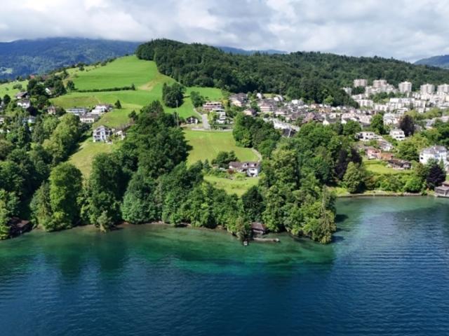 Exklusive Villa mit Pool in Luzern