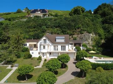 Exklusive Villa mit See und Alpensicht sowie Pooloase