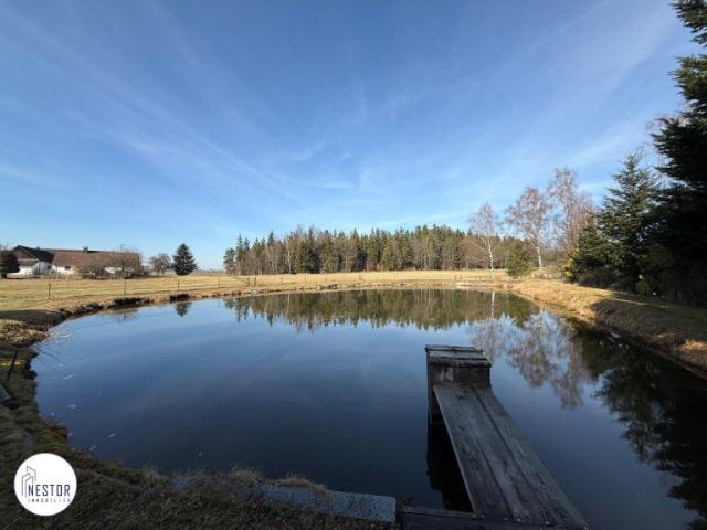 Exklusiver Fischteich | Einfamilienhaus Rohbau mit riesigem Grund in absoluter Ruhelage | Grünblick