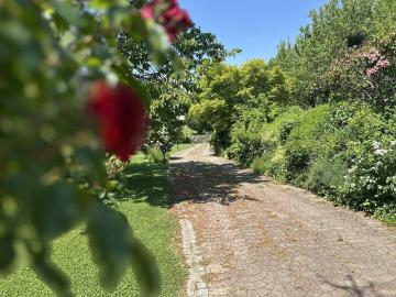 EXKLUSIVES BLOCKHAUS PARADIES AM MUGGAUBERG – 2 VERBUNDENE WOHNEINHEITEN MIT UNENDLICH VIELEN MÖGLICHKEITEN