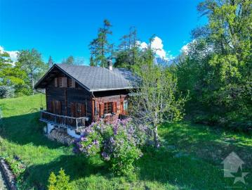 Exklusives Chalet mit 6,5 Zimmern