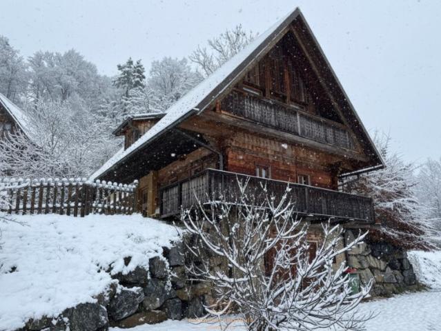 Privates Chalet mit Wellnessbereich | 150 m² | Eigennutzung & laufende Mieteinnahmen | Brodersdorf, Stmk