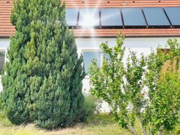 Villa zur Miete in 2070 - Garten
