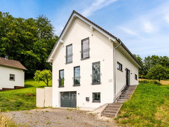 Exklusives Einfamilienhaus Stilvolle Architektur, moderne Ausstattung & luxuriöser Wohnkomfort!