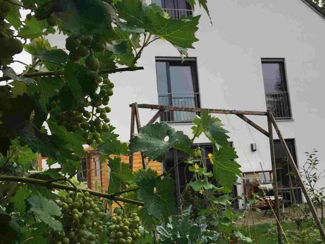 Exklusives KW 55 DHH in idylischer Lage mit E Auto Anschlussmöglichkeit. Ein A+ Haus