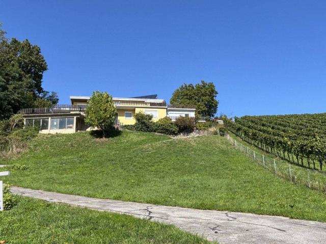 Exklusives Landhaus inmitten der weststeirischen Weinberge