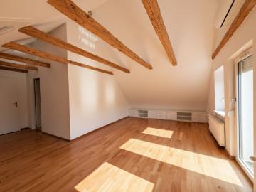Exklusives Penthouse Wohnen über den Dächern von St. Peter!