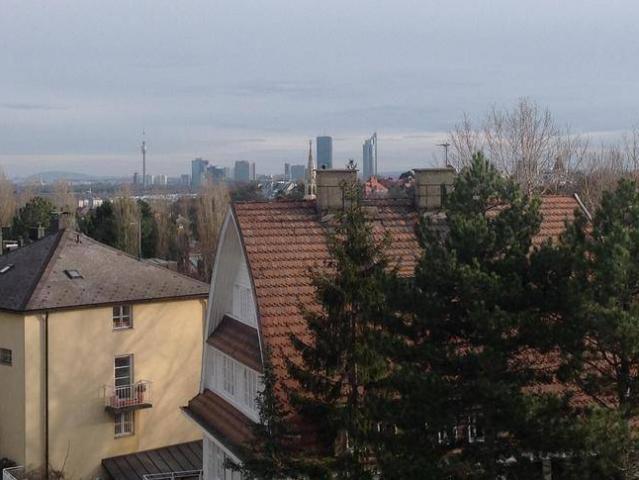 EXKLUSIVES PRESTIGE PENTHOUSE MIT KAMIN & TERRASSE IM NOBLEN 19.BEZIRK