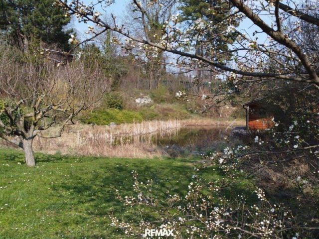 Exklusives Refugium mit Biotop & 3.000 qm Gartenparadies!