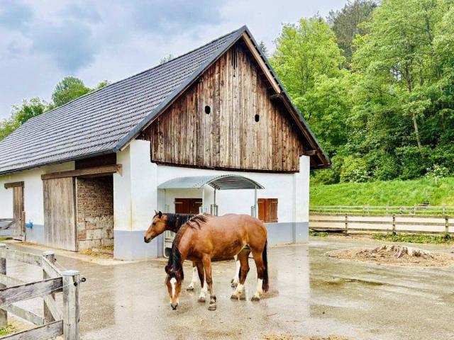 Exklusives Reitanwesen mit 6 Wohneinheiten & Bauland in traumhafter Lage nahe dem Klopeiner See